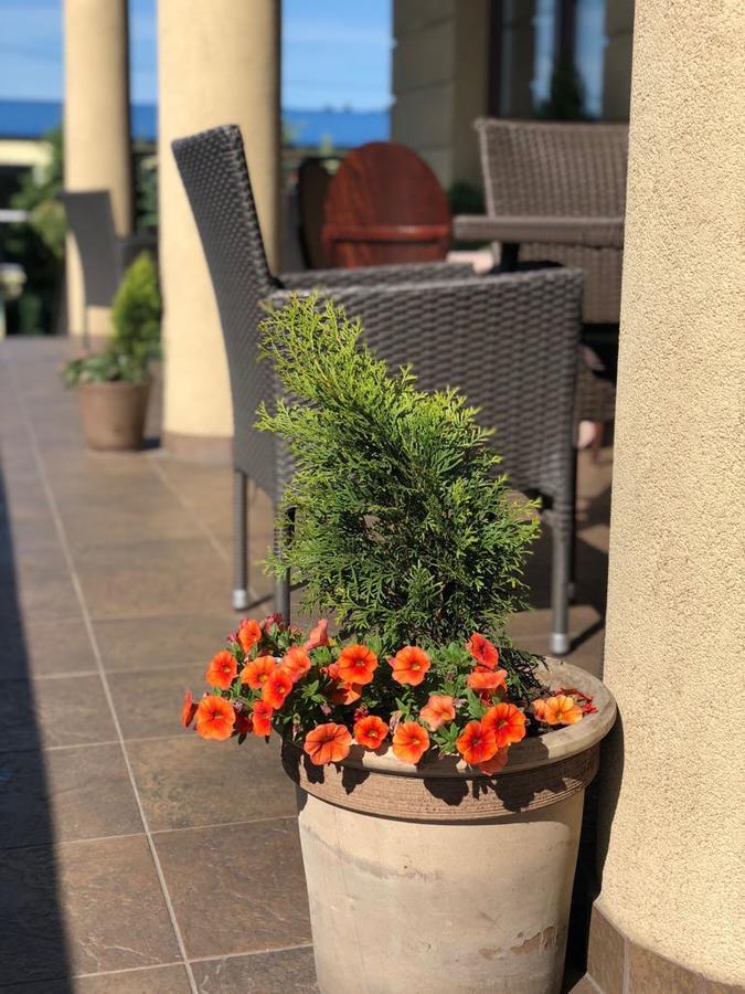 Bialy Kruk Hotel Starogard Gdański Екстериор снимка